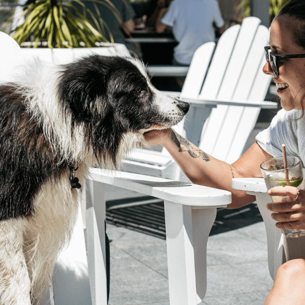 a woman playing with her dog